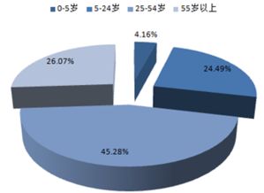 2017-2022年中国旅游电子商务市场运行态势与投资策略分析报告 聚焦国内旅游业务经营