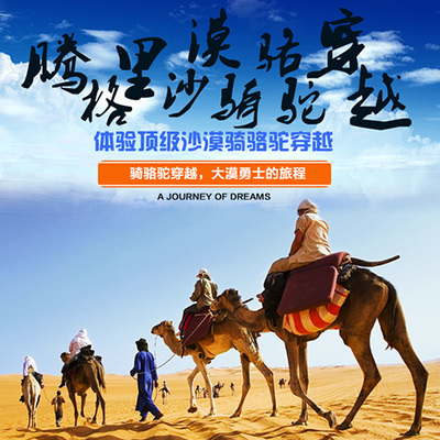 整合资源，打造专业旅游服务新生态